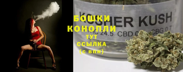 шишки Козловка