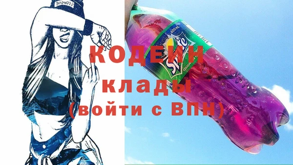 шишки Козловка