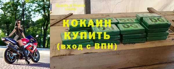 шишки Козловка